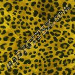 Colour:K