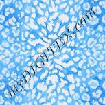Colour:F