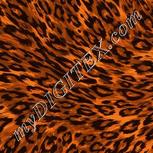 Colour:A