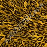 Colour:K