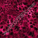 Colour:B