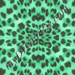 Colour:C