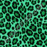 Colour:C