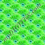 Colour:C