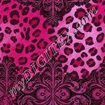Colour:B