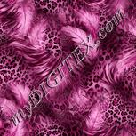 Colour:B