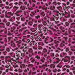 Colour:B