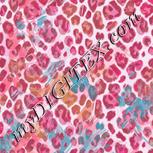 Colour:B