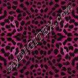 Colour:B