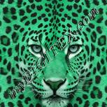 Colour:C