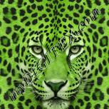 Colour:D