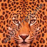 Colour:J