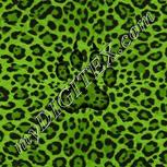 Colour:D