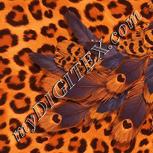 Colour:J
