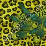 Colour:K
