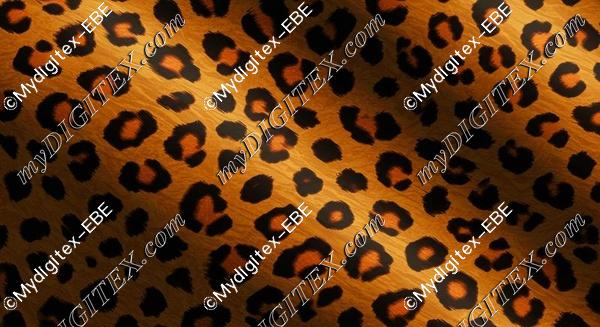 EBE 0004955