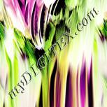 Colour:D
