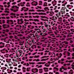 Colour:B