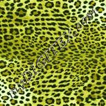 Colour:K