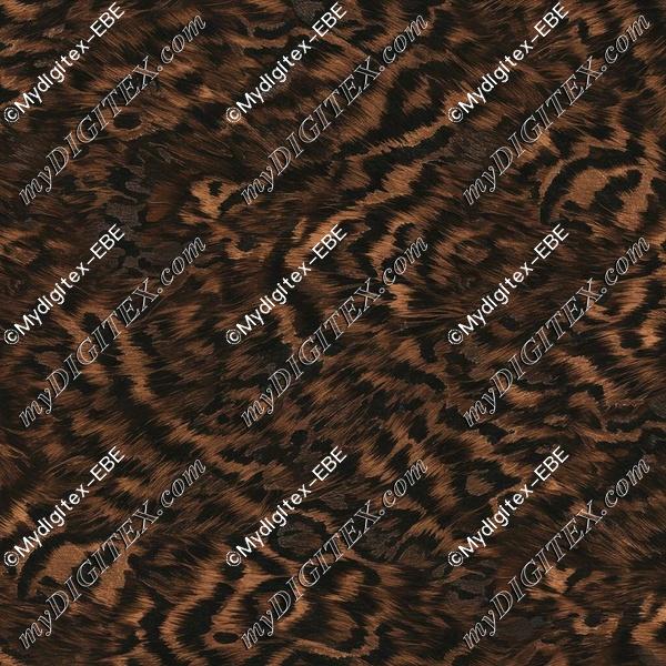 EBE 0004996