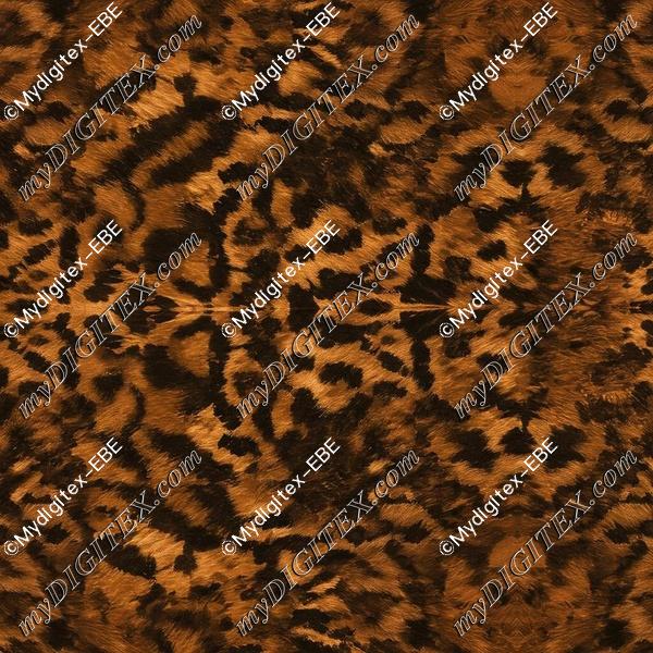 EBE 0004997