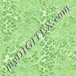 Colour:K