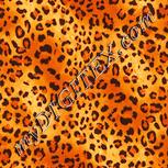 Colour:J