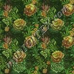 Colour:K