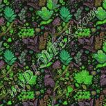 Colour:D