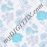 Colour:F