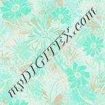 Colour:F
