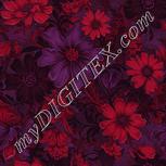 Colour:A