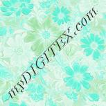 Colour:F