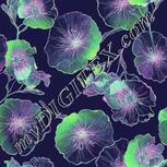 Colour:D