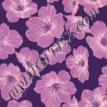 Colour:J