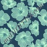 Colour:K