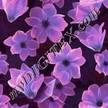 Colour:A