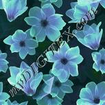 Colour:D