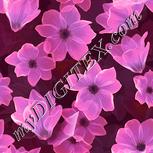 Colour:J