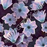Colour:K