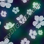 Colour:A
