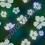 Colour:B