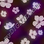 Colour:C
