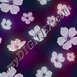 Colour:D