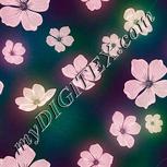 Colour:J