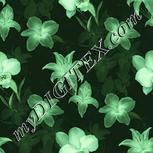 Colour:K
