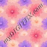 Colour:A