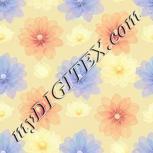 Colour:K