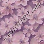 Colour:A