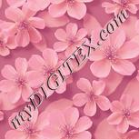 Colour:J